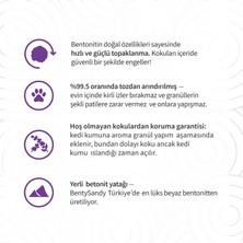 BentySandy Lavender Lavanta Kokulu Topaklanan Kedi Kumu 5 Lt