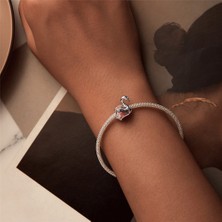 Jeffrry1 Pendant Charm Swan Kadınlar Için Karşılaştırılmış Farklı Bileklikler ve Kolye 925 Gümüş (Yurt Dışından)