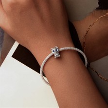Jeffrry1 Pendant Charm Raccoon Kadınlar Için Karşılaştırılmış Farklı Bileklikler ve Kolye 925 Gümüş (Yurt Dışından)