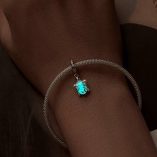 Jeffrry1 Pendant Charm Güzel Deniz Kaplumbağası Kadınlar Için Karşılaştırılmış Farklı Bileklikler ve Kolye 925 Gümüş (Yurt Dışından)