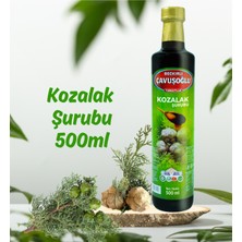 Bozkırlı Çavuşoğlu Kozalak Şurubu 650G x 2