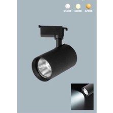 Alles 30W Siyah Kasa Ray Spot Beyaz- Paris Noas  YL29-3101