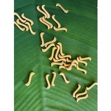 Gönülden Tasarım 2 cm 18 Adet Pirinç Delikli Takı Aparatı Takı Aksesuarı