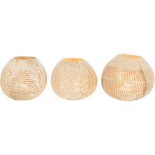 Laromita Decoration Coconut T-Lıght / Yatay