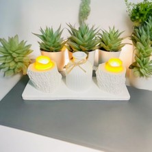 HKM Hobim Vazo ve Mumluk Seti Tealight Mumlar Dahil Konsept