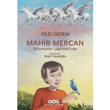 Mahir Mercan - Bilinmezler Labirenti'nde