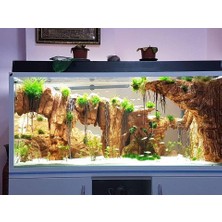 Aqualed Meta Plus 4 Sıra 4 Renk