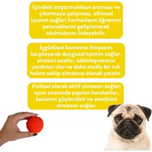 Havhav Doğal Kauçuk Köpek Isırma Topu Turuncu Renkli Içine Ödül Maması Saklanabilen Köpek Oyuncağı Toksik Madde Içermez