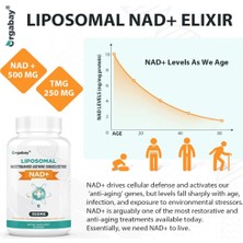 Orgabay Liposomal Nad+ Supplement 500 Mg  High Absorption  Boost Nad+ With Tmg 250 Mg  Than Nicotinamide Riboside  Support Cellular Energy  Healthy Aging  60 SOFTGELS 3637