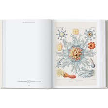 The Art And Science Of Ernst Haeckel. 40TH Anniversary Edition - Rainer Willmann