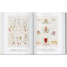 The Art And Science Of Ernst Haeckel. 40TH Anniversary Edition - Rainer Willmann