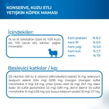 Monge Fresh Adult Kuzu Etli Yetişkin Köpek Maması Konserve 400 gr