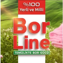 Borline Sıvı Bulaşık Deterjanı Limon 650 ml ( 1 koli 14 adet )