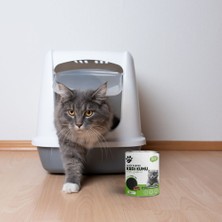 pawcarbon Kedi Kumu Koku Giderici Aktif Karbon 180 gr