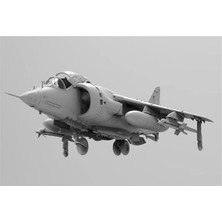 Kinetic K48060 1/48 Harrier Gr1/gr3 Savaş Uçağı, Plastik Model Kiti