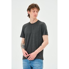 Quhox Erkek Bisiklet Yaka Regular Kalıp T-Shirt Antrasit