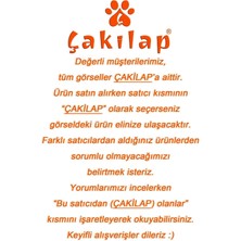 Çakılap (Pride) Baskılı Porselen Kupa Bardak