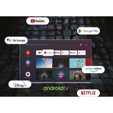 Wismann 43" 109 Ekran Uydu Alıcılı Full HD Google Android Smart LED TV