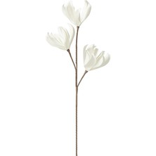 Laromita Decoration Magnolıa Dal / 94 cm