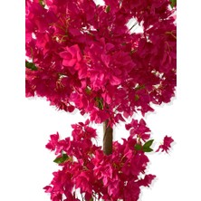 Cihan Çiçekçilik Yapay Ağaç Fuşya Begonvil 190 cm 56X30X20 Beyaz Kumsal Saksı