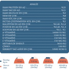 Biyo Dog Kuzu Etli Yetişkin Köpek Maması 15 kg