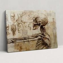 Painted Anarchy Leonardo Da Vinci Anatomy Canvas Print - Leonardo Da Vinci, Home Decoration, Wall Art, Canvas Print, 50 x 30 cm