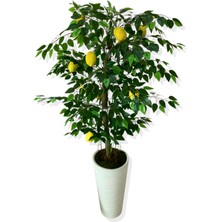 Cihan Çiçekçilik Yapay Ağaç Limon Ağacı 170 cm 56X30X20 Beyaz Kumsal Saksı