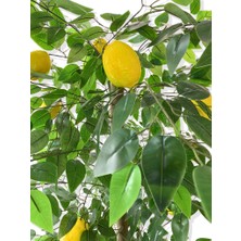 Cihan Çiçekçilik Yapay Ağaç Limon Ağacı 170 cm 56X30X20 Beyaz Kumsal Saksı