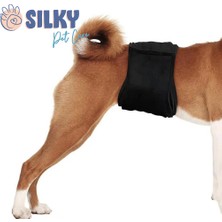 Silky - Erkek Köpek Çiş Bezi / Yıkanabilir