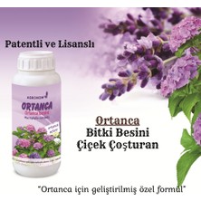 Agronom Ortanca Için Özel Formül Bitki Besini, Çiçek Çoşturan, Sıvı Gübre-Yüksek Kalite  (100CC)