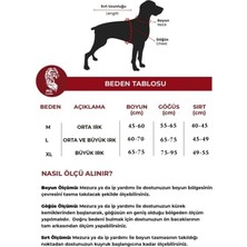 MgTasma Püsküllü Deri Boyun Tasması, Sivas Kangalı, Malaklı, Çoban Köpeği, Akbaş, Kangal Köpek Tasması Sarı