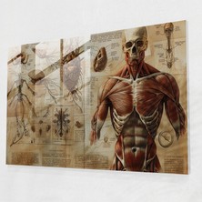 Painted Anarchy Leonardo Da Vinci Glass Art: Scientific Illustrations - Leonardo Da Vinci, Glass Art, Home Decoration, Modern Art, 45X30