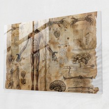 Painted Anarchy Leonardo Da Vinci Glass Print - Leonardo Da Vinci, Glass Print, Home Decoration, Classical Art, 45X30