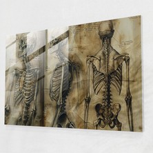 Painted Anarchy Leonardo Da Vinci Glass Print - Anatomical Sketches - Leonardo Da Vinci, Wall Decoration, Glass Wall Art, Glass Print, 45X30