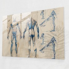 Painted Anarchy Leonardo Da Vinci Glass Wall Art - Leonardo Da Vinci, Glass Wall Art, Modern Art, Wall Decoration, 45X30