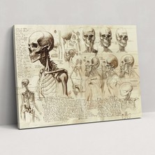Painted Anarchy Anatomical Leonardo Da Vinci Wall Art - Leonardo Da Vinci, Wall Decoration, Home Decoration, Canvas Wall Art, 50X30