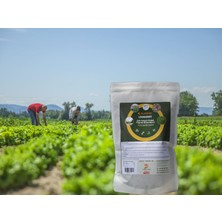 Klasser Leonardit 1500 Gr Çok Amaçlı Toprak Düzenleyici