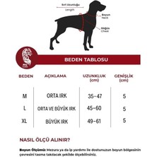 MgTasma Yumuşak Dokulu Kolon Köpek Tasması, Köpek Boyun Tasması 5 cm Gri