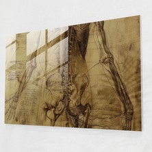 Painted Anarchy Leonardo Da Vinci Glass Wall Art - Leonardo Da Vinci, Glass Art, Leonardo Da Vinci, Wall Decoration, 45X30