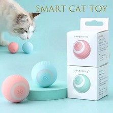 Pet Gravity Akıllı Kedi Topu