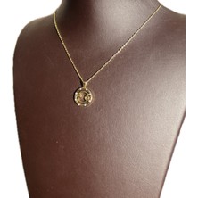 Ashak Accessories Kadın Yengeç Burcu 925 Ayar Gümüş Zincirli Swarovski Taşlı Cancer Zodiac Sign Model Light Altın Kaplama Burç Kolye