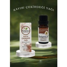 Botanica Kayısı Çekirdeği Yağı - Prunus Armeniaca - Yaşlanma Karşıtı Pürüzsüz Cilt Görünümü Bakım Yağı