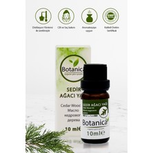 Botanica Sedir Ağacı Yağı - Cedrus Atlantica - Arındırıcı - Odak Artırıcı Aromaterapik Uçucu Yağ