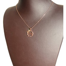 Ashak Accessories Kadın Kova Burcu 925 Ayar Gümüş Zincirli Swarovski Taşlı Aquaris Zodiac Sign Model Rose Kaplama Burç Kolye
