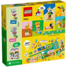 11034 LEGO Classic Yaratıcı Evcil Hayvanlar 450 Parça +5 Yaş