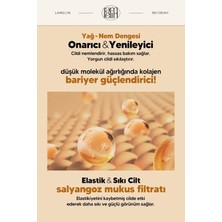 Lamelin Kolajen İçeren Doğal Kapatıcılık Sağlayan Nemlendirici Spf 50 + Pa ++++ Lamelin Collagen Bb Cream