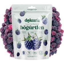 Dokuru Böğürtlen Kuru Meyve Cipsi - Dondurularak Kurutulmuş Freeze Dried Çıtır Böğürtlen