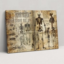 Painted Anarchy Leonardo Da Vinci Canvas Print - Leonardo Da Vinci, Leonardo Da Vinci, Canvas Print, Home Decoration, 50X30