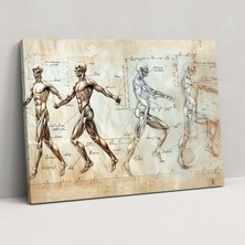 Painted Anarchy Leonardo Da Vinci Anatomy Canvas Print - Leonardo Da Vinci, Canvas Wall Art, Home Decoration, Leonardo Da Vinci, 50X30