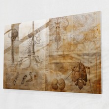 Painted Anarchy Leonardo Da Vinci Wall Decoration - Leonardo Da Vinci, Wall Decoration, Glass Art, Modern Art, 45X30